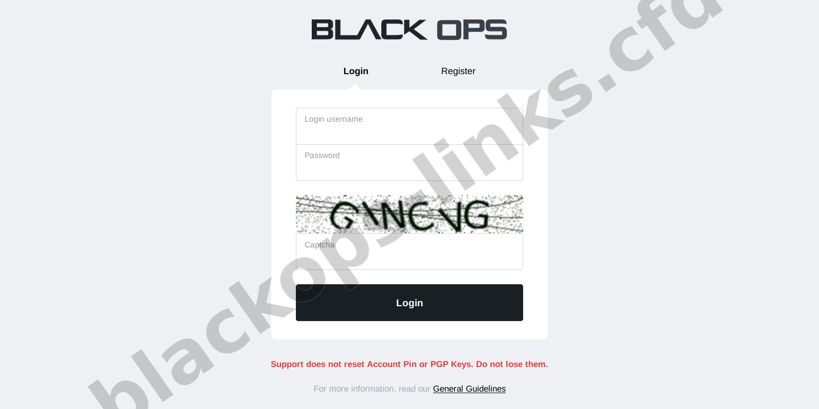 Login Interface Terminal
